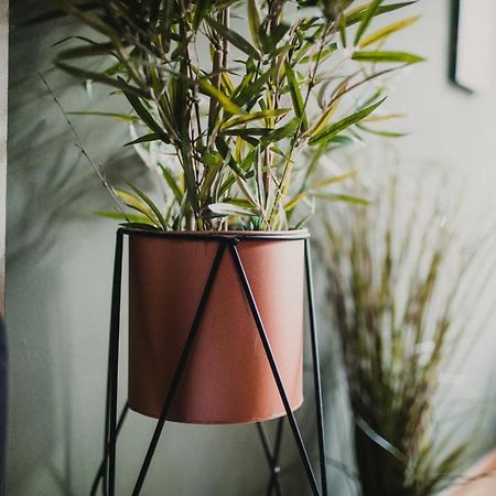 Zeus Design Apartments Lovely Home فيينا المظهر الخارجي الصورة